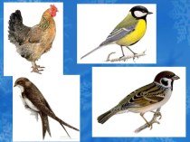 Презентация по окружающему миру Как помочь зимой птицам?