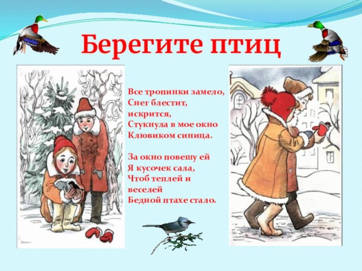 Берегите птицВсе тропинки замело, Снег блестит, искрится, Стукнула в мое окно Клювиком