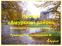 Проектная работа Амурский район