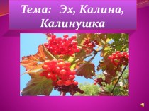 Презентация к исследовательской работе по теме: Эх, Калина, Калинушка!