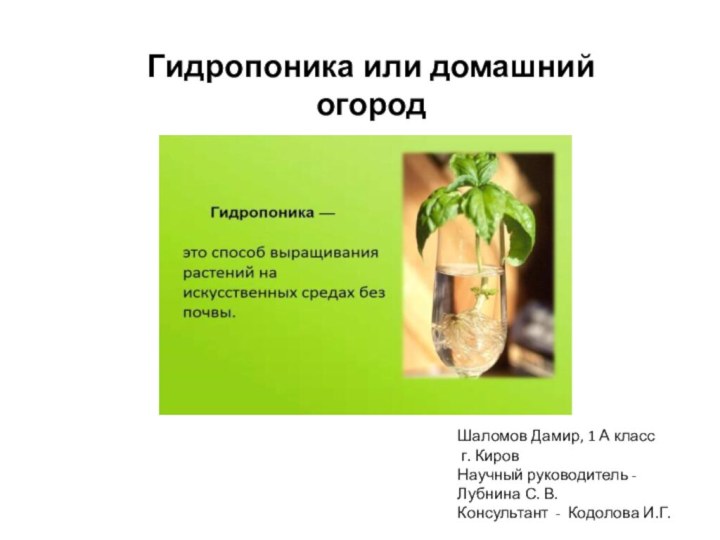 Гидропоника или домашний огородШаломов Дамир, 1 А класс г. КировНаучный руководитель -