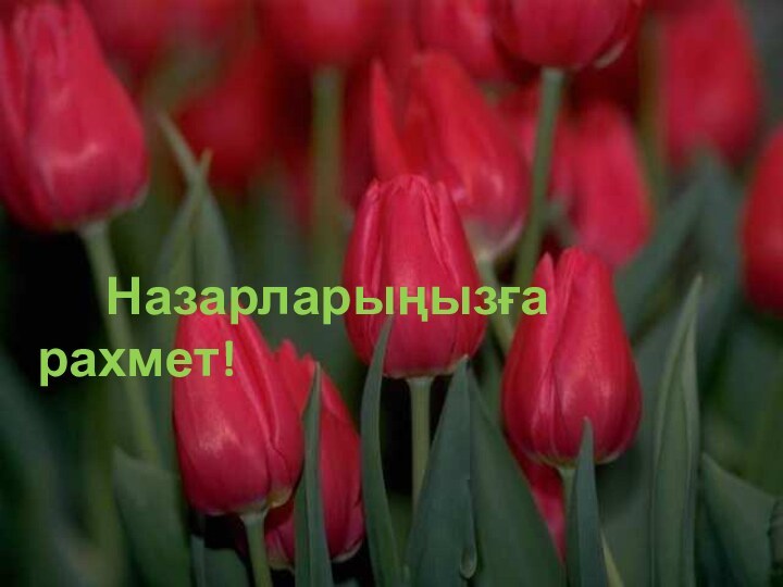 Назарларыңызға рахмет!