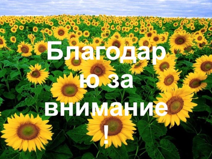 Благодарю за внимание!