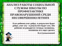 Отчет социального педагога о проделанной работе за год