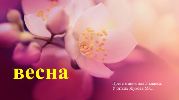 веснаПрезентация для 3 класса.Учитель Жукова М.С.