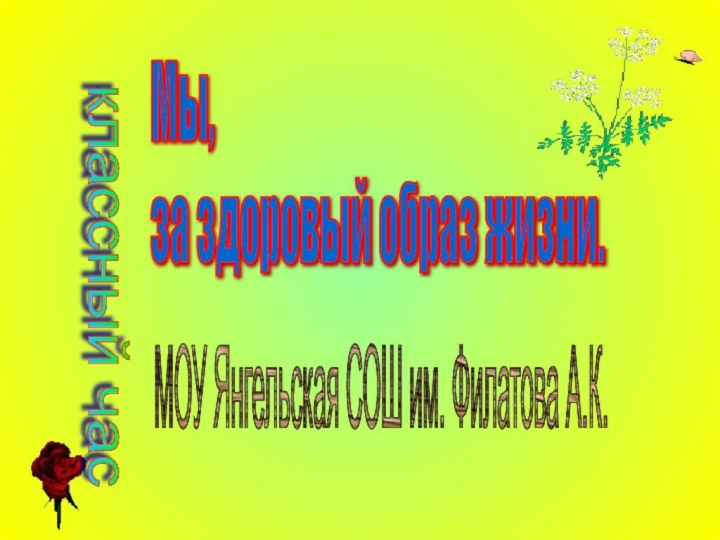 Мы,  за здоровый образ жизни.МОУ Янгельская СОШ им. Филатова А.К.классный час