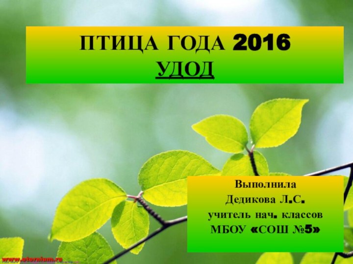 ПТИЦА ГОДА 2016 УДОДВыполнилаДедикова Л.С.учитель нач. классовМБОУ «СОШ №5»