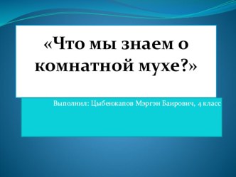 Презентация на исследовательскую работу Комнатная муха