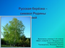 Презентация по окружающему миру  Русская берёзка- символ Родины моей