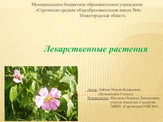 Презентация по биологии на тему: Лекарственные растения