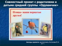 Презентация проекта Птицы - наши пернатые друзья