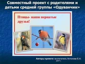 Презентация проекта Птицы - наши пернатые друзья