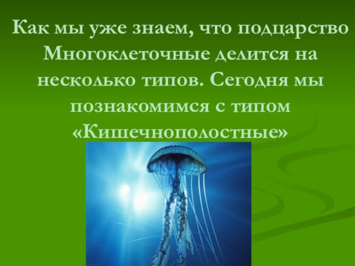 Как мы уже знаем, что подцарство Многоклеточные делится на несколько типов. Сегодня