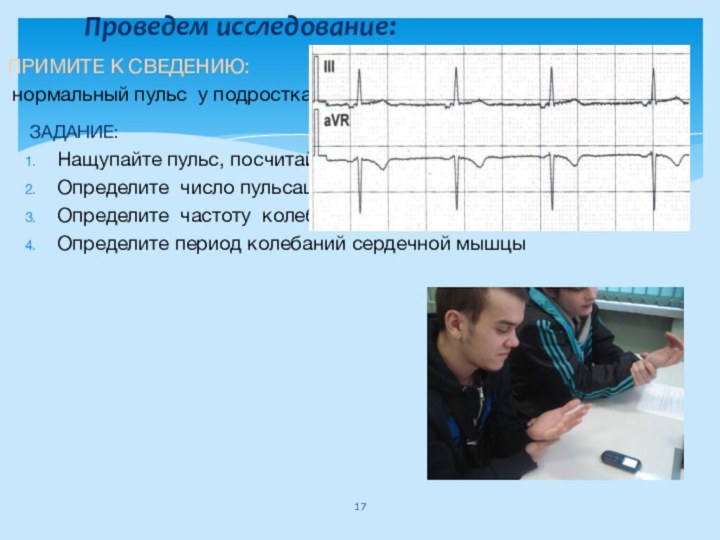 Проведем исследование: ПРИМИТЕ К СВЕДЕНИЮ: нормальный пульс у подростка (16 –