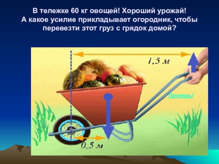 В тележке 60 кг овощей! Хороший урожай! А какое усилие прикладывает огородник,