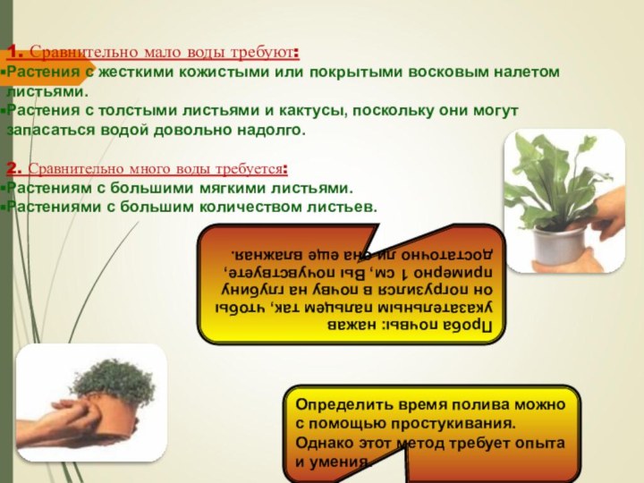 1. Сравнительно мало воды требуют:Растения с жесткими кожистыми или покрытыми восковым налетом