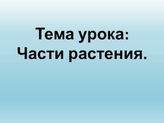 Презентация Части растений 3 класс