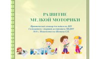 Развитие мелкой моторики дошкольников