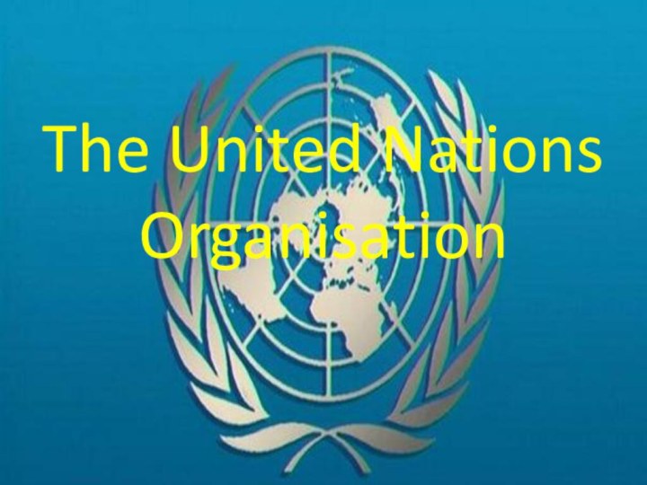 The United Nations Organisation