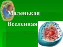 Презентация по биологии  Растительная клетка (6 класс)