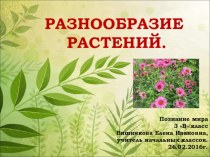 Презентация к открытому уроку в 3 классе Разнообразие растений