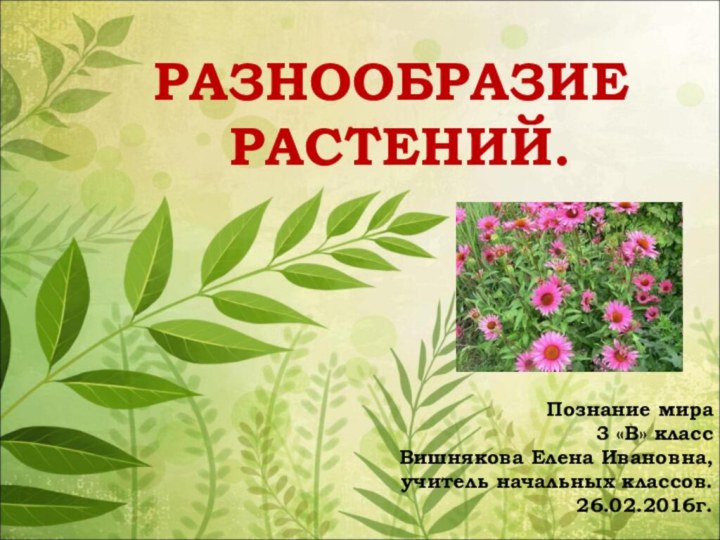 РАЗНООБРАЗИЕ РАСТЕНИЙ.Познание мира3 «В» классВишнякова Елена Ивановна,учитель начальных классов.26.02.2016г.