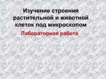 Л.р.№1 Наблюдение клеток растений и животных под микроскопом