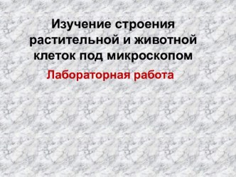 Л.р.№1 Наблюдение клеток растений и животных под микроскопом