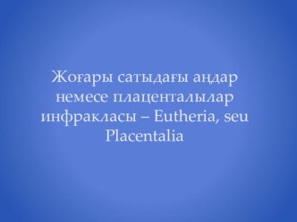 Жоғары сатыдағы аңдар немесе плаценталылар инфракласы – Eutheria, seu Placentalia