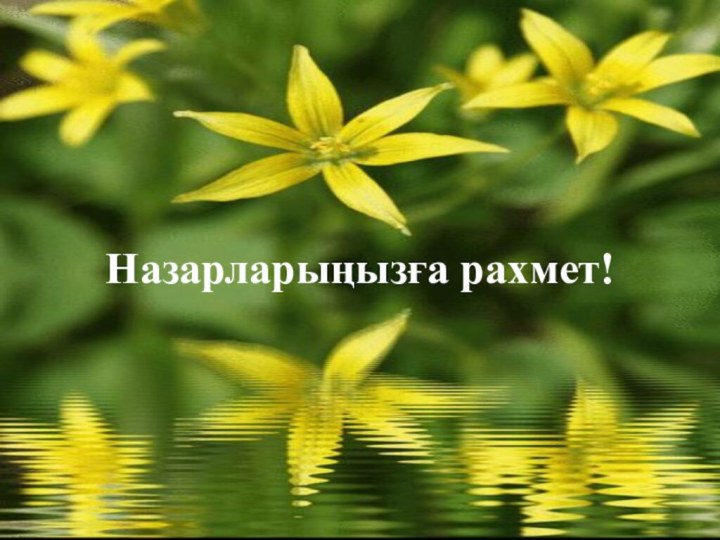 Назарларыңызға рахмет!