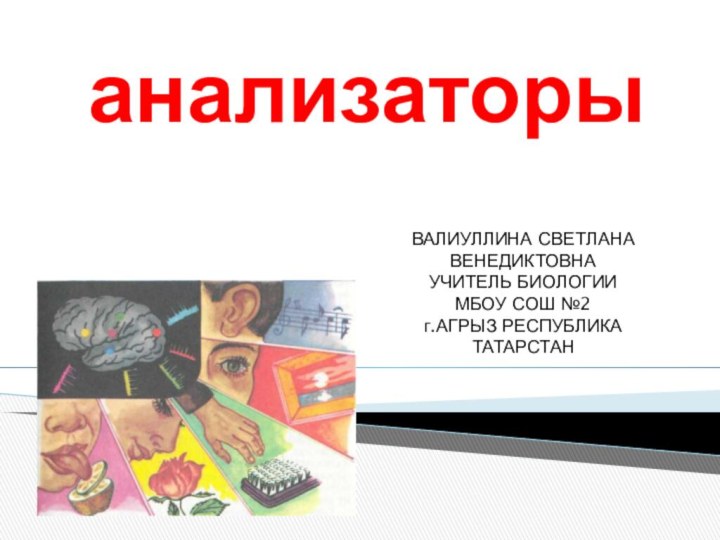 анализаторы ВАЛИУЛЛИНА СВЕТЛАНА ВЕНЕДИКТОВНАУЧИТЕЛЬ БИОЛОГИИ МБОУ СОШ №2 г.АГРЫЗ РЕСПУБЛИКА ТАТАРСТАН