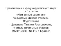 Презентация по окружающему миру на тему Комнатные растения 1 класс Школа России