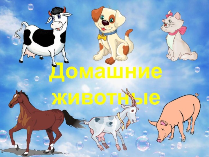 Домашние животные