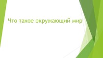 Презентация по окружающему миру Что такое окружающий мир?