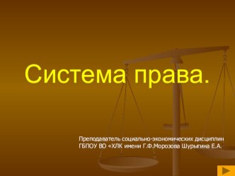 Презентация по обществознанию на тему Система права