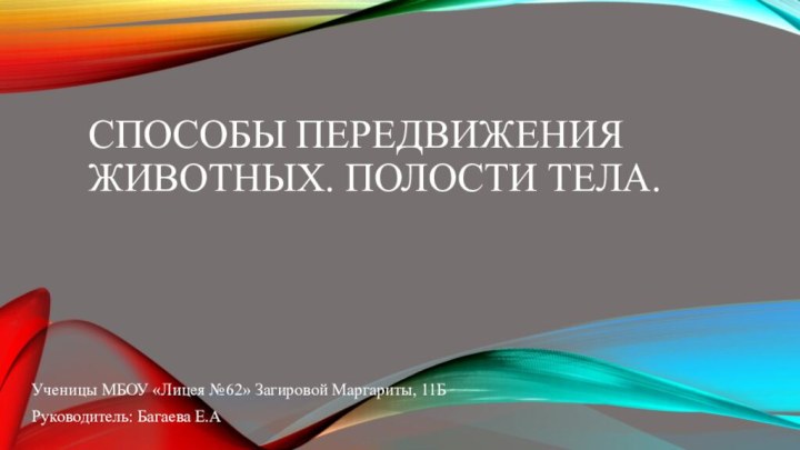 СПОСОБЫ ПЕРЕДВИЖЕНИЯ ЖИВОТНЫХ. Полости тела.Ученицы МБОУ «Лицея №62» Загировой Маргариты, 11БРуководитель: Багаева Е.А