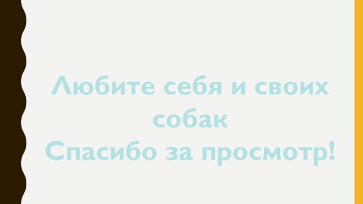 Любите себя и своих собакСпасибо за просмотр!