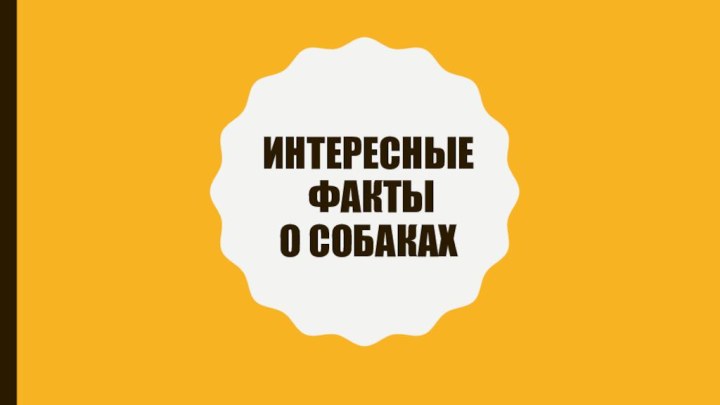 Интересные  факты о собаках