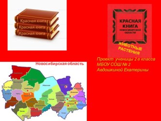 Презентация к проекту Красная книга