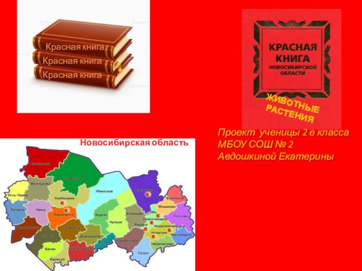 Красная книгаКрасная книгаКрасная книгаПроект ученицы 2 е классаМБОУ СОШ №