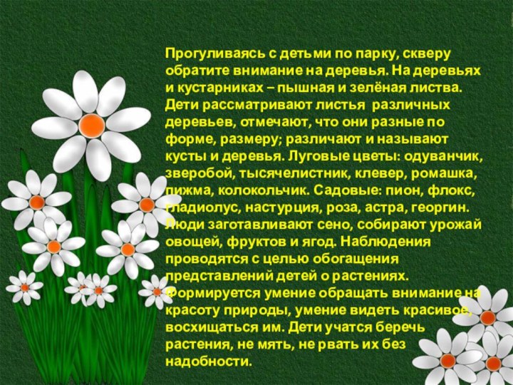 Прогуливаясь с детьми по парку, скверу обратите внимание на деревья. На деревьях