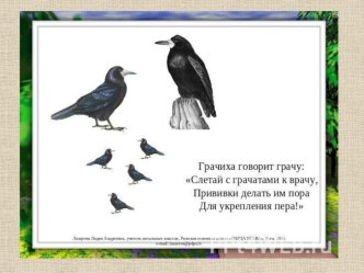 Презентация к уроку чтения по рассказу Г.Скребицкого Грачи прилетели 5 кл. 8 вид