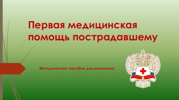 Первая медицинская помощь пострадавшемуМетодическое пособие для школьника