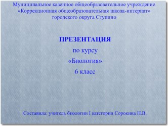 Презентация по биологии на тему Твердые тела, жидкости и газы (6 класс, школа VIII вида)