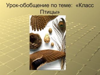 Урок по теме Птицы