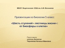 Презентация по биологии на тему  Шесть ступеней  лестницы жизни ( 5 класс)