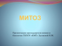 Презентация по биологии на тему Митоз