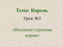 Презентация по биологии на тему Внешнее строение корня (6 класс)