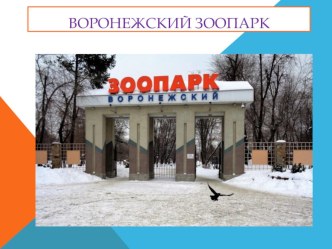 Презентация Воронежский зоопарк 1 класс