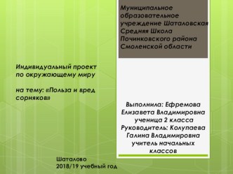 Презентация по окружающему миру на тему Польза и вред сорняков(2 класс)